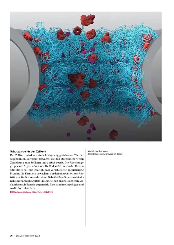 SNI-Jahresbericht 2022 - Page 26