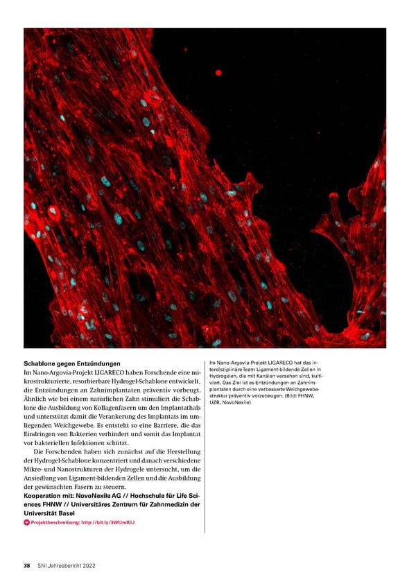 SNI-Jahresbericht 2022 - Page 38