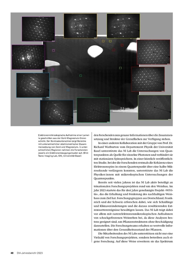 Jahresbericht 2023 - Page 48