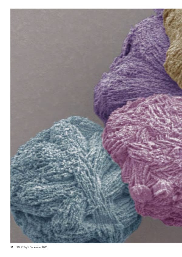 SNI Insight December 2025 - Page 10