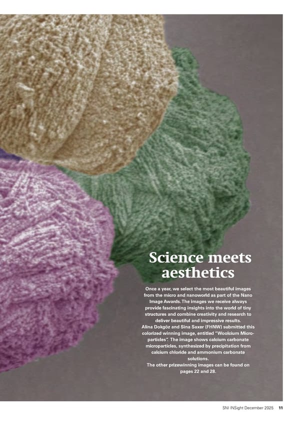 SNI Insight December 2025 - Page 11