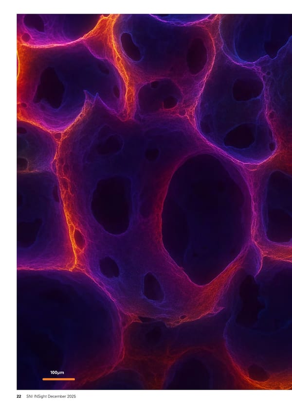 SNI Insight December 2025 - Page 22