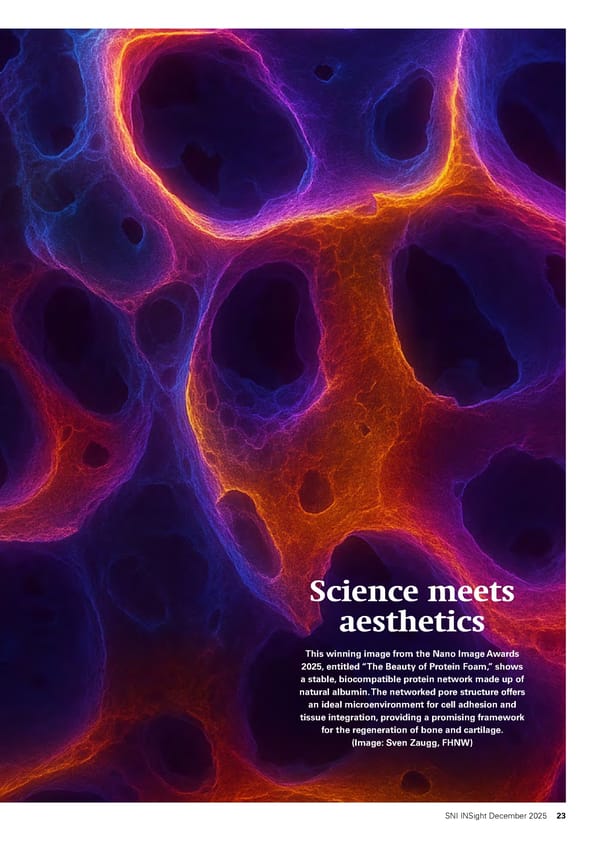 SNI Insight December 2025 - Page 23