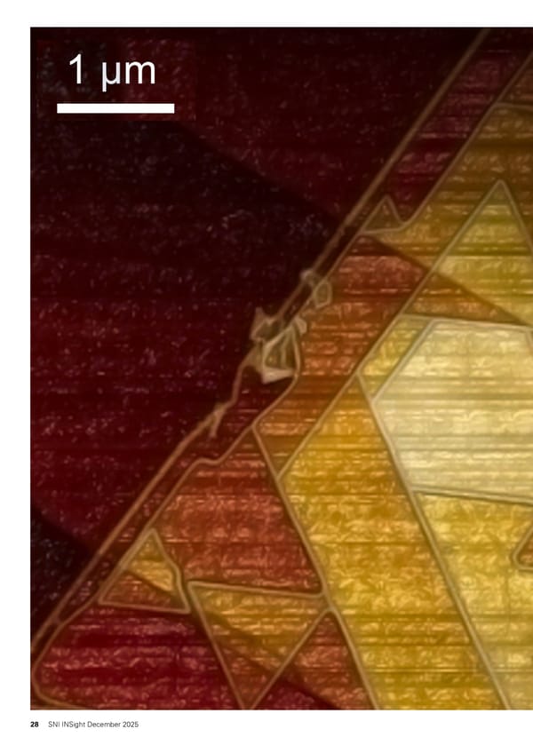 SNI Insight December 2025 - Page 28