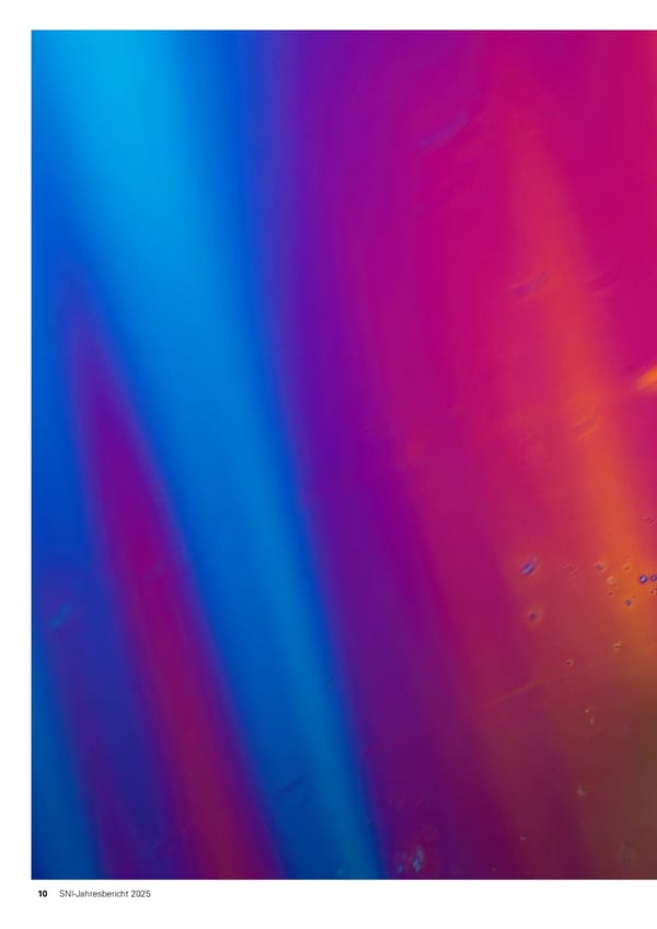 Jahresbericht 2025: Swiss Nanoscience Institute - Page 10