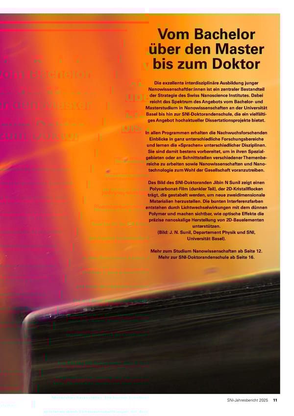 Jahresbericht 2025: Swiss Nanoscience Institute - Page 11