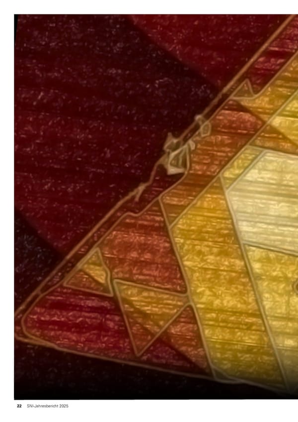 Jahresbericht 2025: Swiss Nanoscience Institute - Page 22