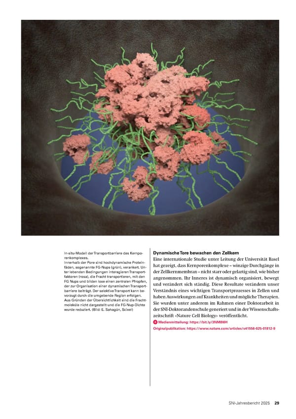 Jahresbericht 2025: Swiss Nanoscience Institute - Page 29