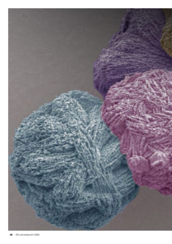 Jahresbericht 2025: Swiss Nanoscience Institute - Page 36