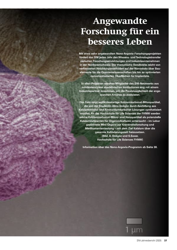 Jahresbericht 2025: Swiss Nanoscience Institute - Page 37