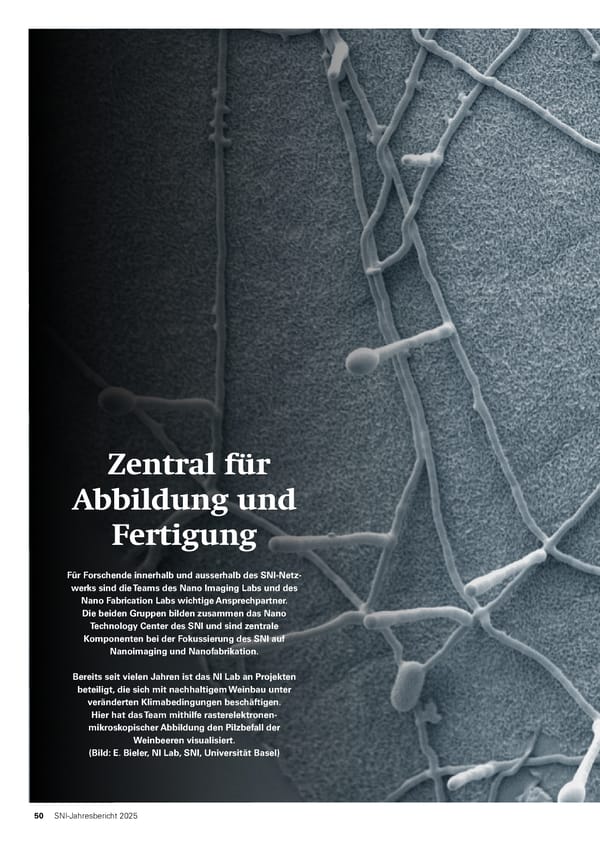Jahresbericht 2025: Swiss Nanoscience Institute - Page 50