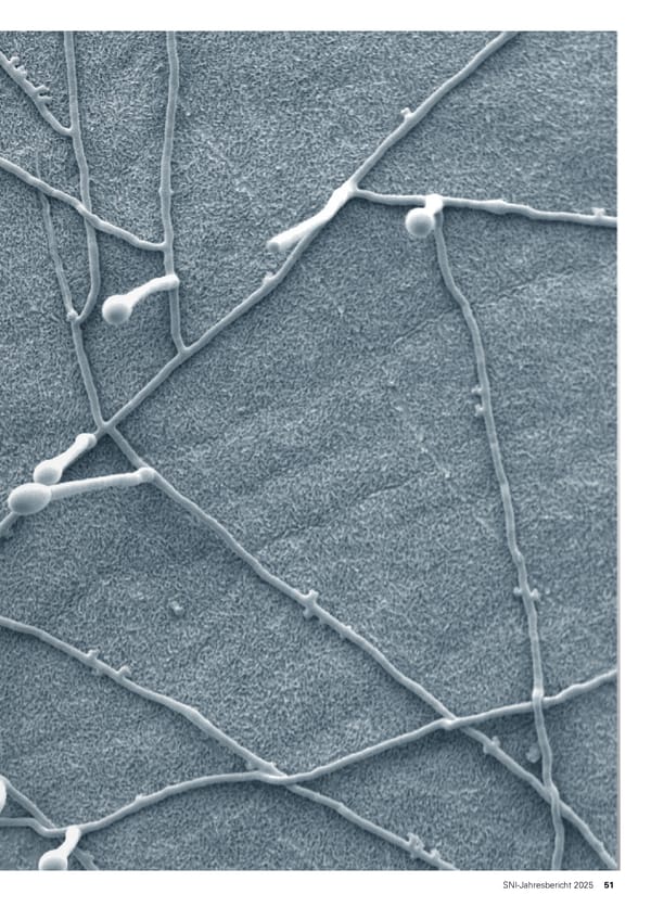 Jahresbericht 2025: Swiss Nanoscience Institute - Page 51