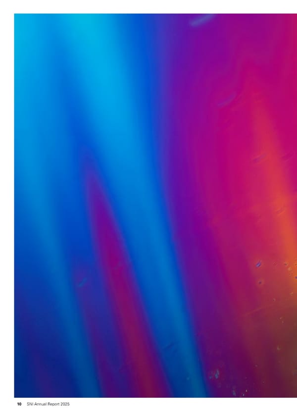 Annual Report 2025 - Swiss Nanoscience Institute - Page 10