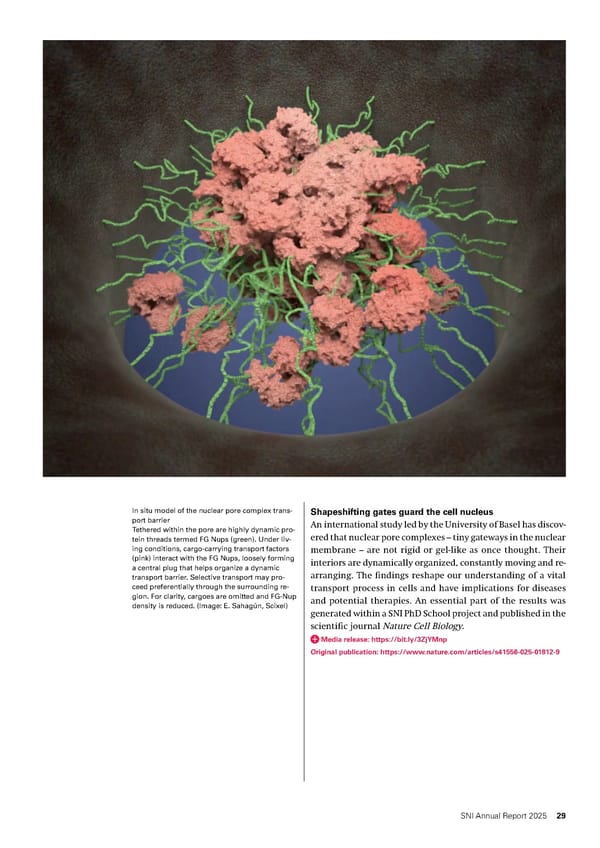 Annual Report 2025 - Swiss Nanoscience Institute - Page 29