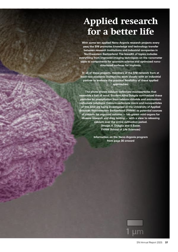 Annual Report 2025 - Swiss Nanoscience Institute - Page 37